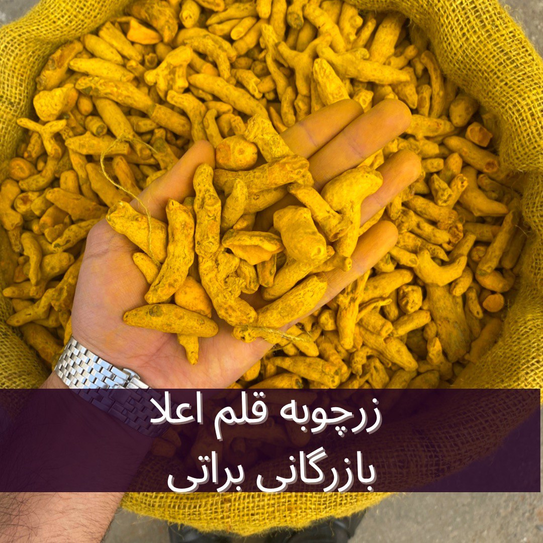 زردچوبه قلم هندی ممتاز 3 زردچوبه قلم هندی