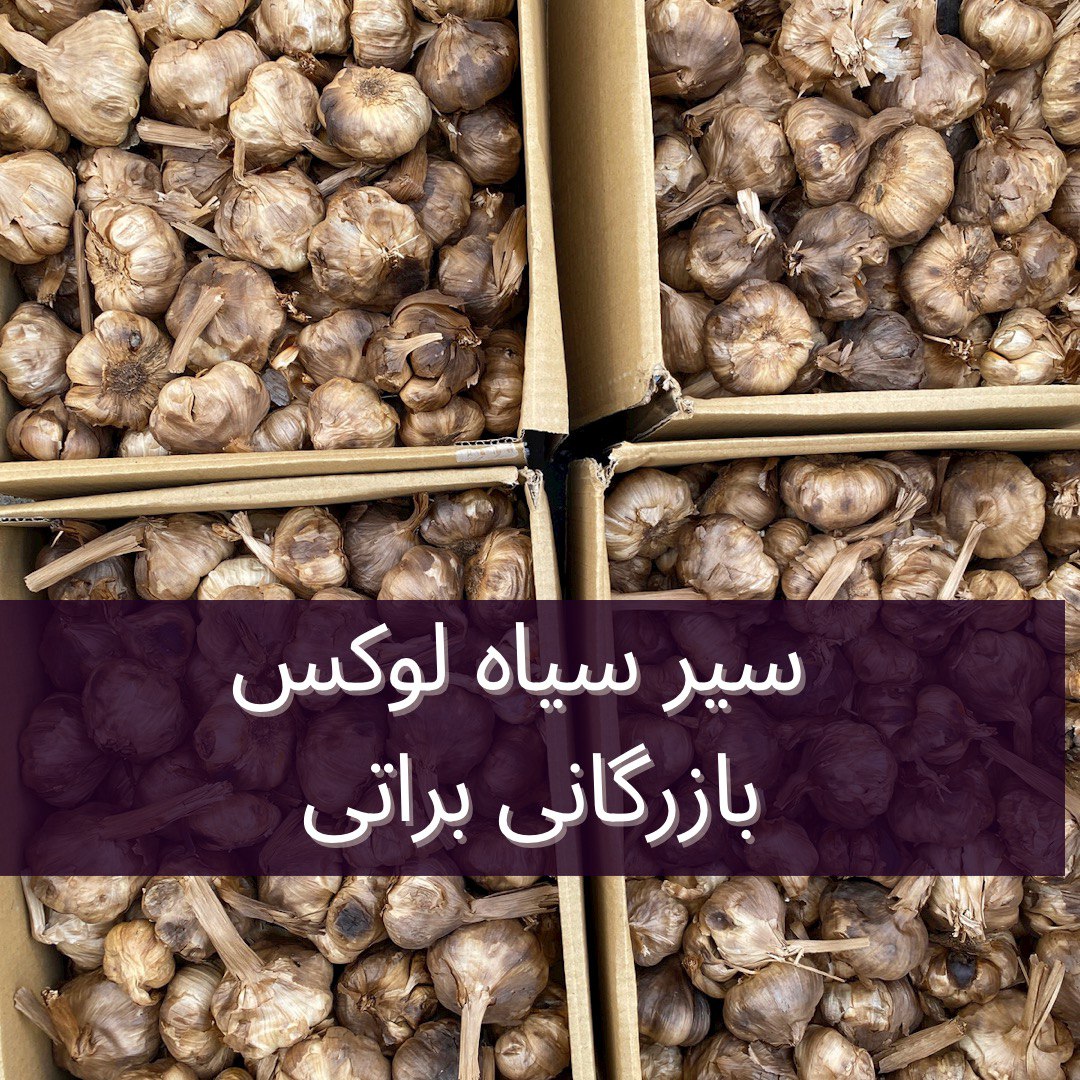 سیر سیاه 2 سیر سیاه - تصویر 2