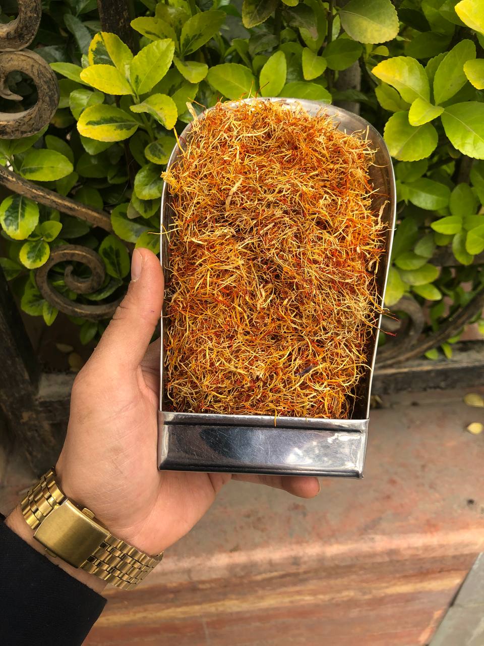 ریشه زعفران لوکس پک 100 گرم +دو مثقال هدیه 1 ریشه زعفران بالا پک 250 گرم