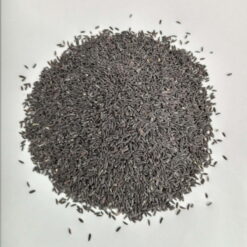 تخمه شربتی درشت(بالنگو) سرت شده و بدون سنگ ریزه