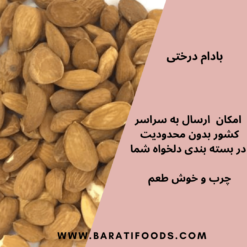 بادام (1)