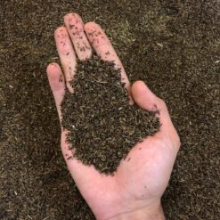 زیره سیاه کاشتنی یا پرورشی لوکس تمیز یک کیلویی