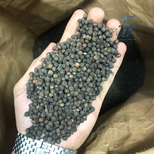 فلفل سیاه ریز 3 فلفل سیاه ریز - تصویر 3