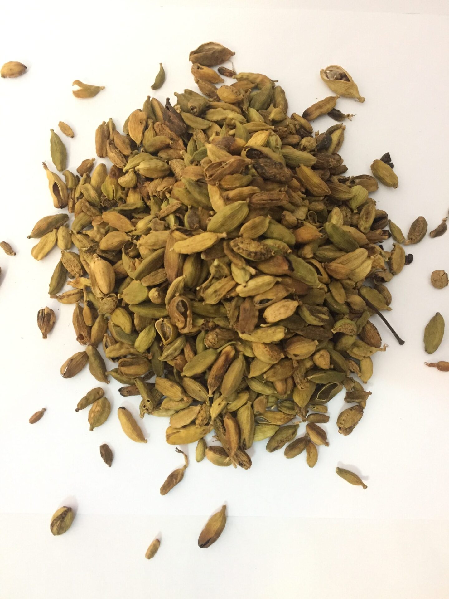 هل شکسته گواتمالایی gop 3 هل شکسته پر مغز پک یک کیلویی