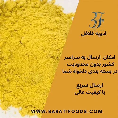 ادویه فلافل 2 ادویه فلافل - تصویر 2