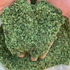 سبزی گیشنیز تمیز اعلا پک یک کیلویی