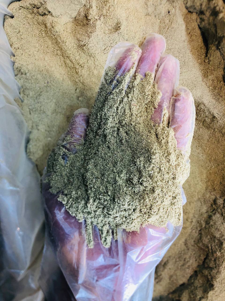 پودر آویشن 2 پودر آویشن اعلا بازرگانی براتی