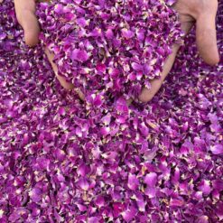 پرگل محمدی لوکس لاله زار