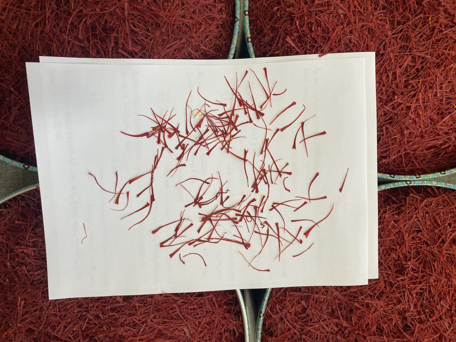 زعفران نگین طبیعی خشک فله 100 گرمی + ارسال رایگان و بسته بندی خاتم 1 زعفران نگین طبیعی خشک مشهد بازرگانی براتی