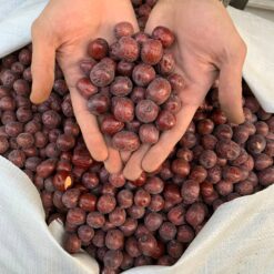 عناب دست چین AAA