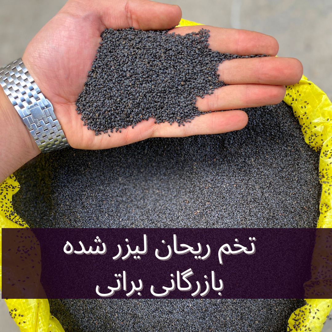 تخم ریحان شربتی 3 تخم ریحان