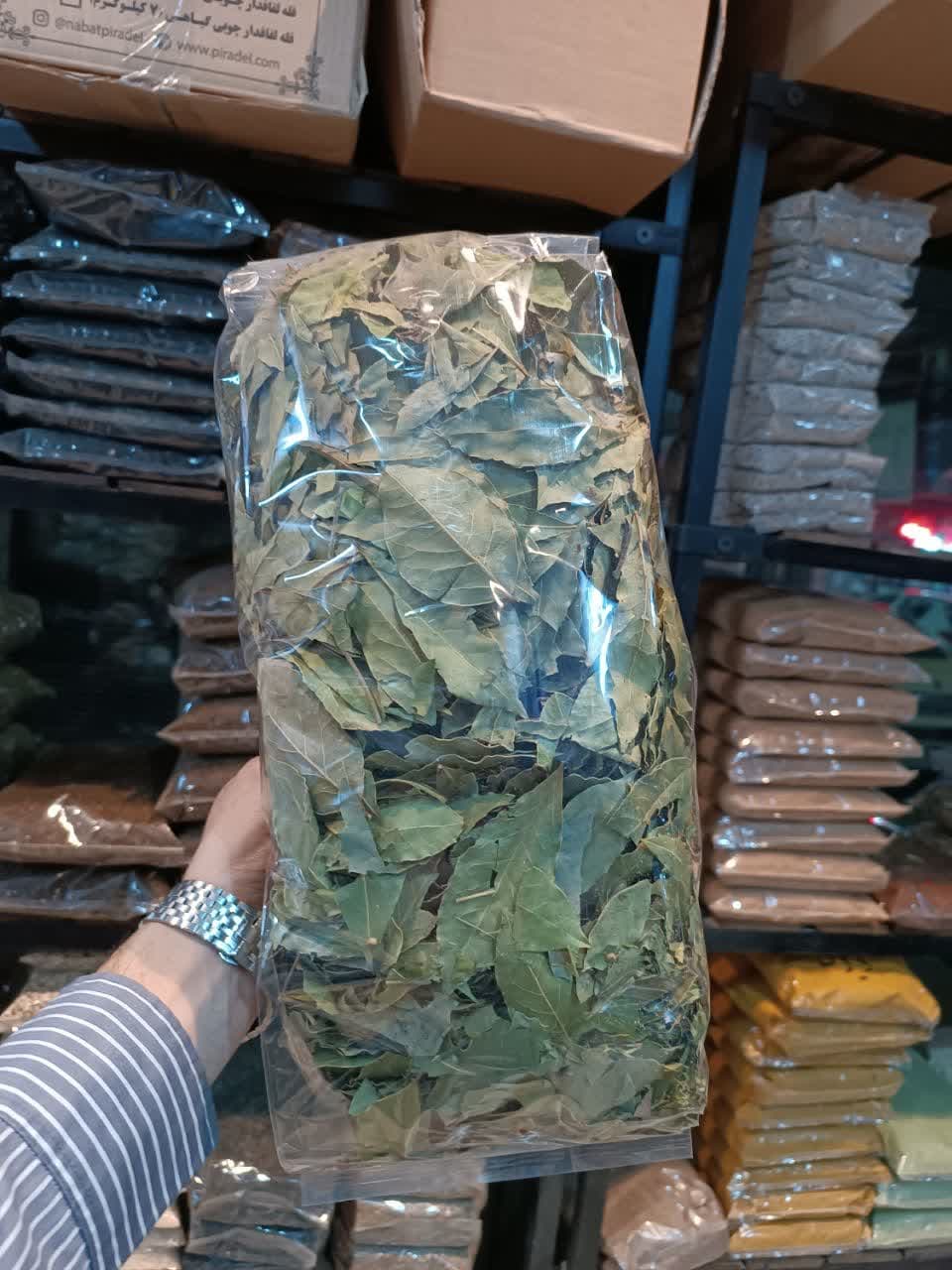 برگ بو تمیز 100 درصد 1 برگ بو