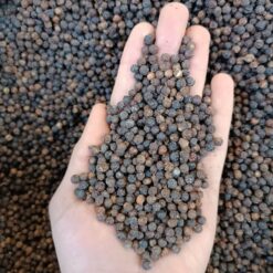 photo 2023 03 12 21 43 23