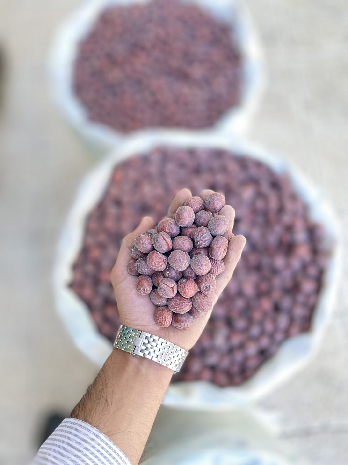 عناب درشت A کد 105 2 عناب متوسط 2