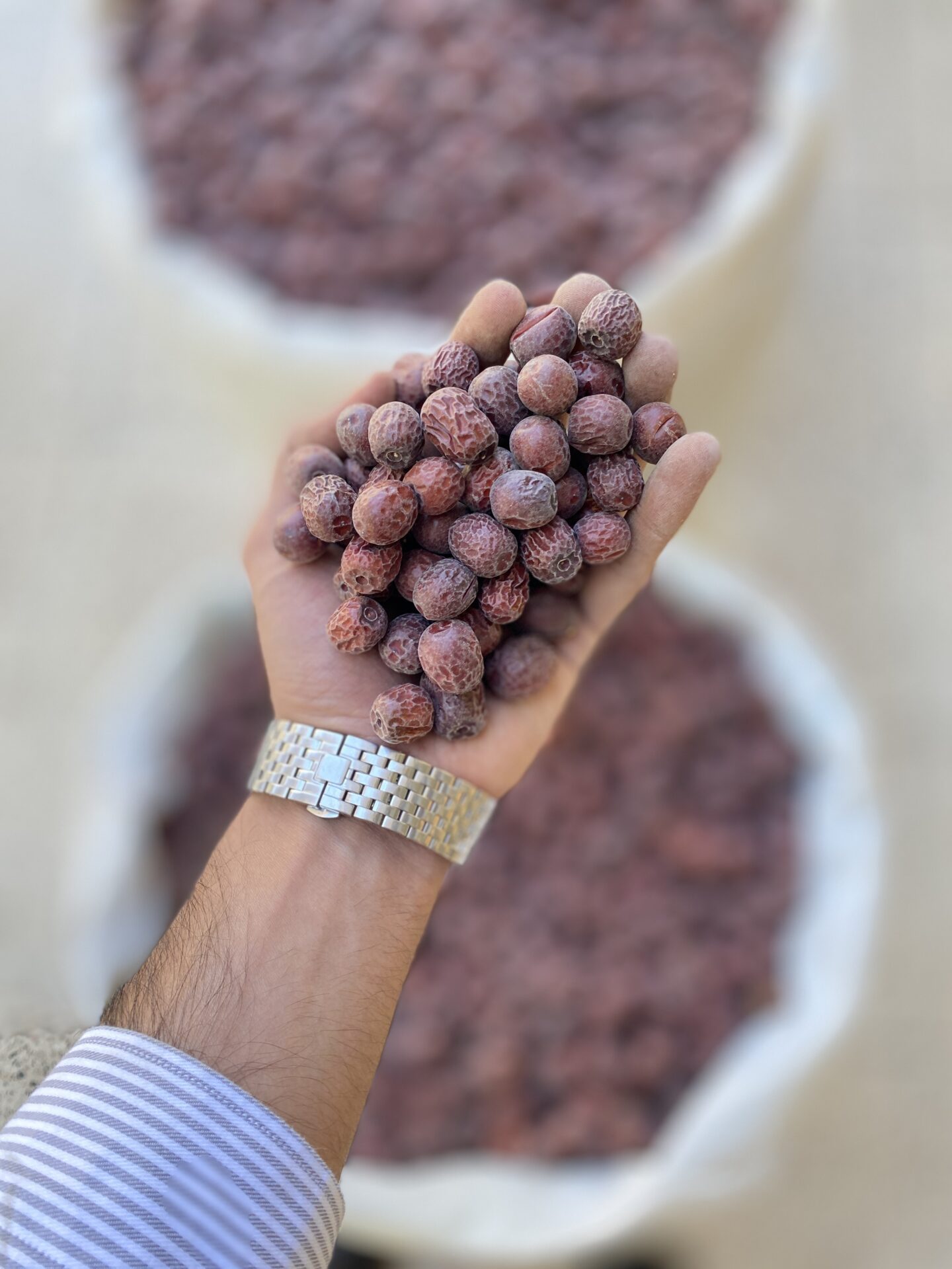 عناب ریز B کد 388 1 عناب درجه3