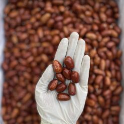 عکس سنجد قزل لوکس بازرگانی براتی