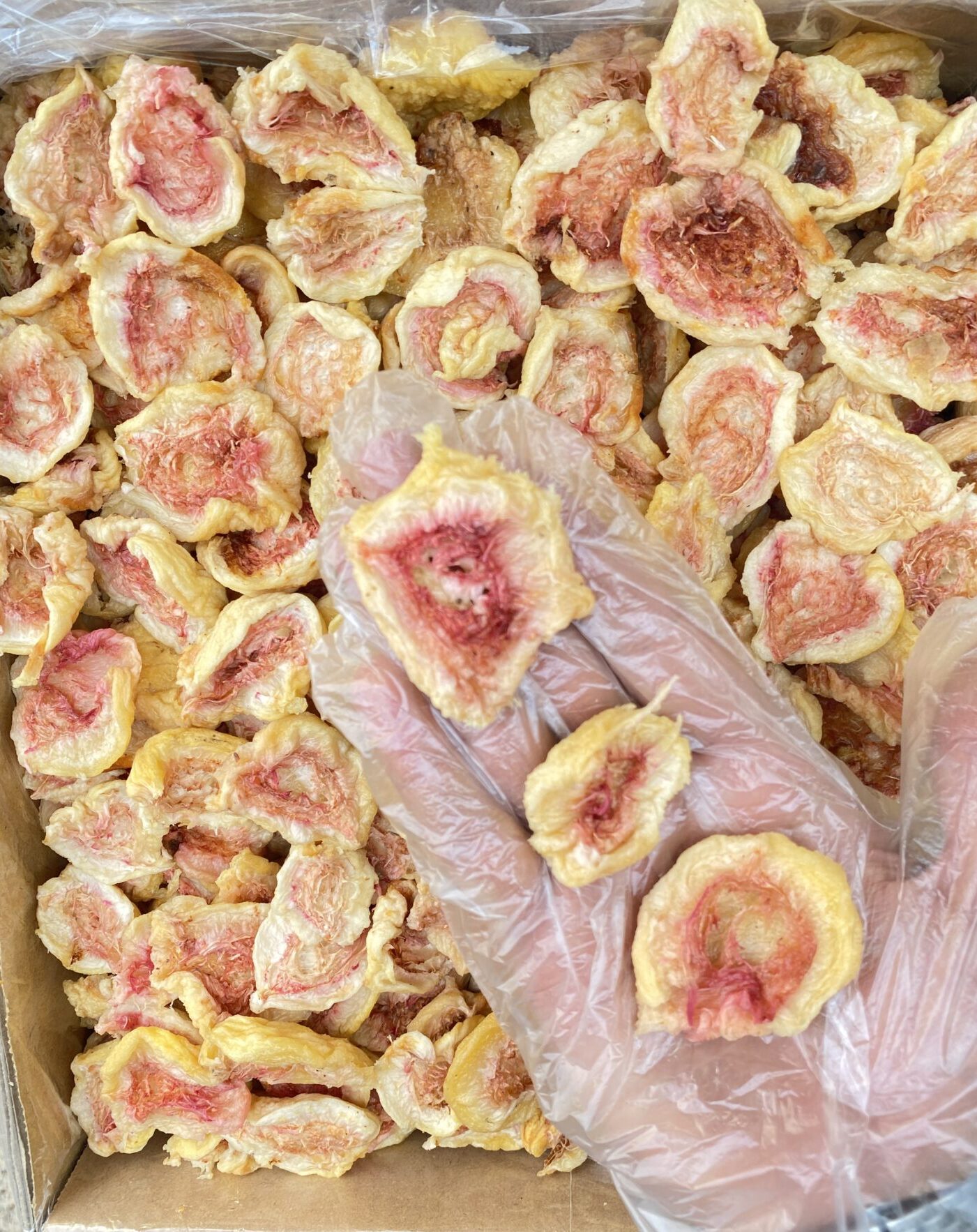 پر هلو دستچین 2 پر هلو دستچین - تصویر 2