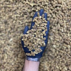 توت خشک رسمی B شیرین