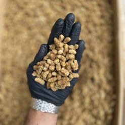 توت خشک رسمی مشهدی 2A شیرین پاستیلی