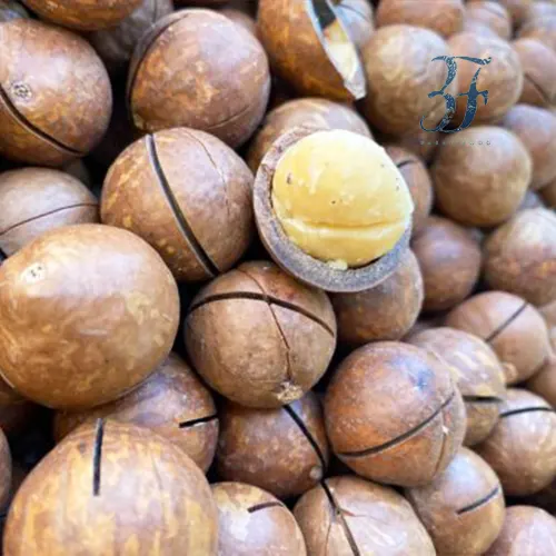 ماکادمیا (فندق استرالیایی) وانیلی 2 ماکادمیا (فندق استرالیایی) وانیلی - تصویر 2