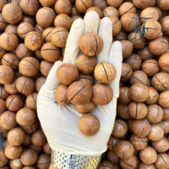 عکس فندق کلید دار ماکادمیا