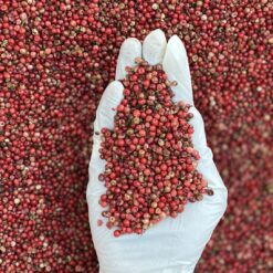 دان فلفل صورتی بازرگانی براتی