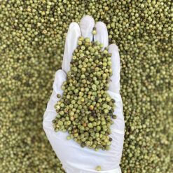 دان فلفل سبز در بازرگانی براتی