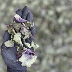 چای بادرنجبویه بازرکانی براتی