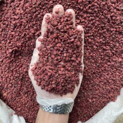 دان سماق قرمز