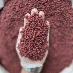 دان سماق قرمز