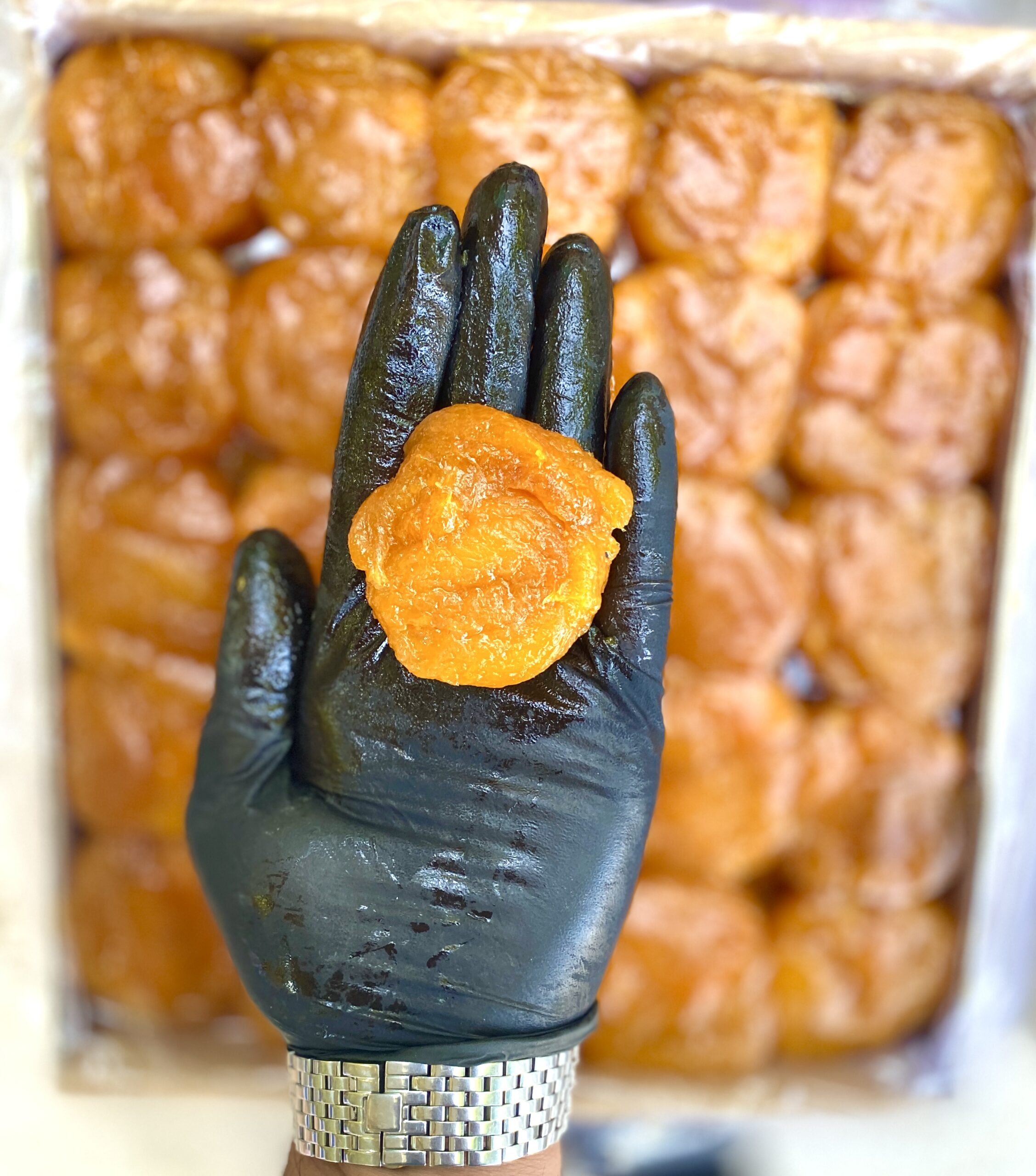 آلو شوقان بدون هسته (قیسی آلو ) 1 آلو شوقان بدون هسته بازرگانی براتی