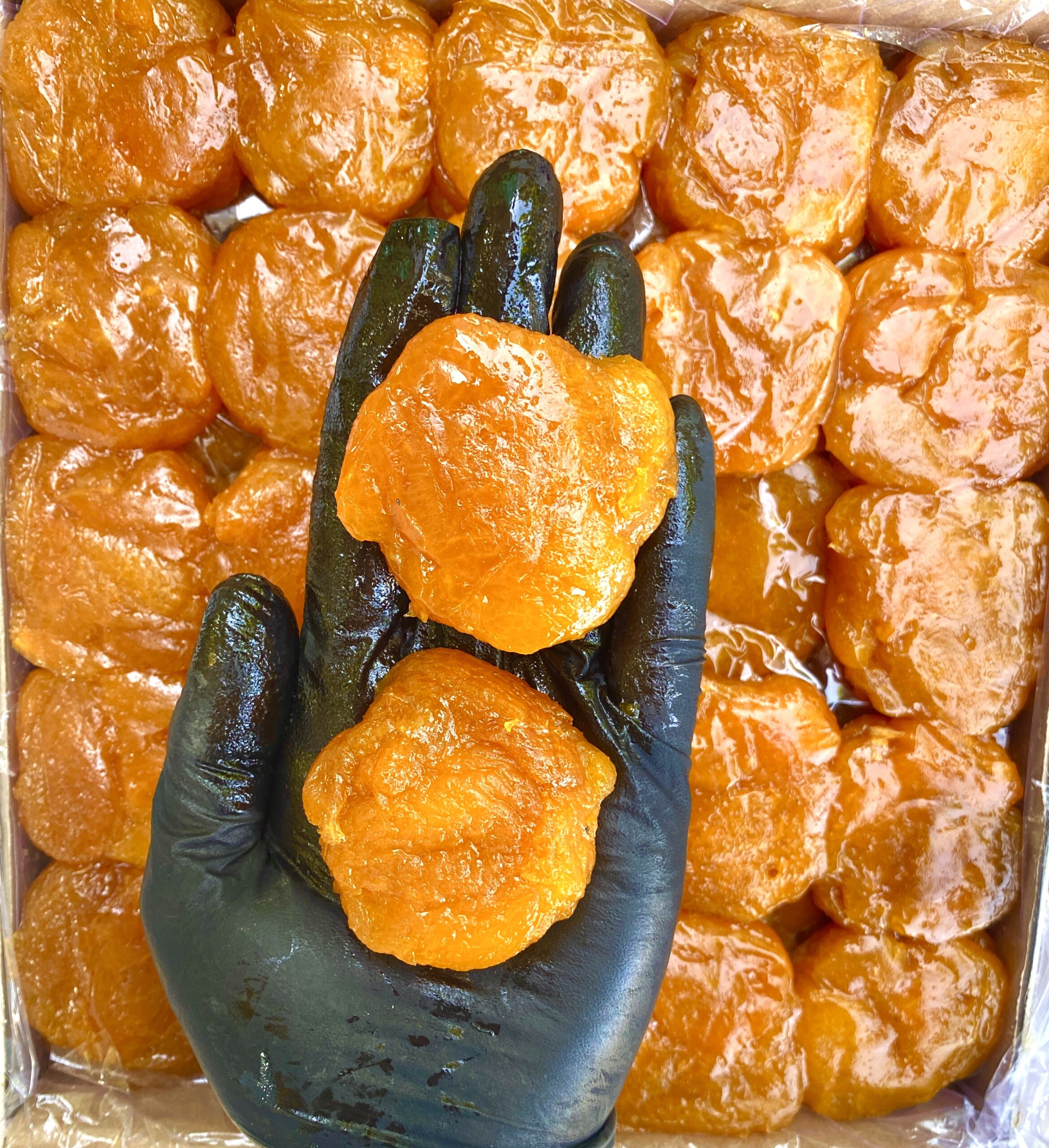 آلو شوقان بدون هسته (قیسی آلو ) 2 آلو شوقان بدون هسته بازرگانی براتی