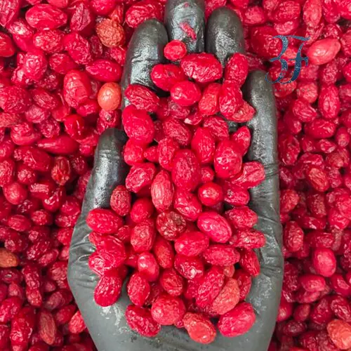 زغال اخته 1 زغال اخته