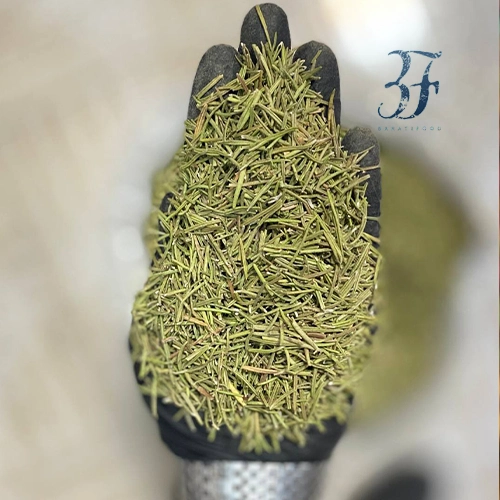 رزماری تمیز 1 رزماری تمیز