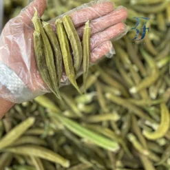 عکس بامیه خشک بازرگانی براتی