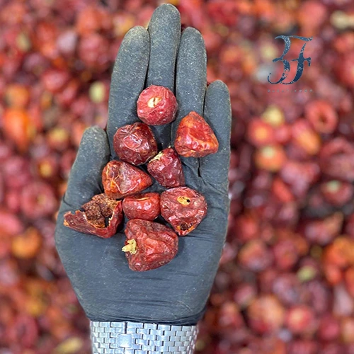 فلفل قرمز عنابی تند 1 فلفل قرمز عنابی تند