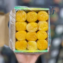 قیسی زردآلو