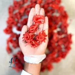 هبیزکوز (میوه چای ترش)