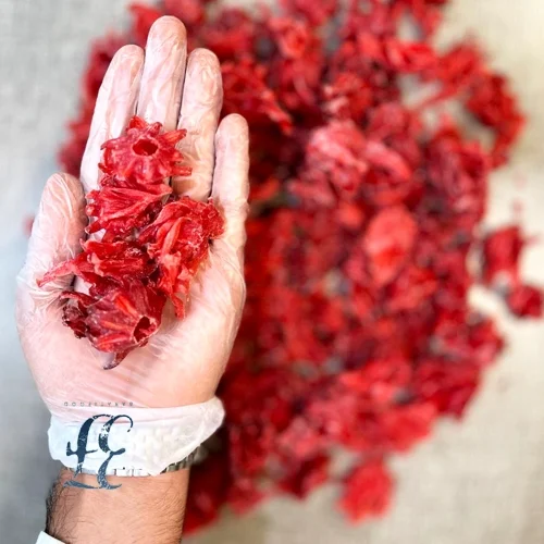 هبیزکوز (میوه چای ترش) 2 هبیزکوز (میوه چای ترش) - تصویر 2