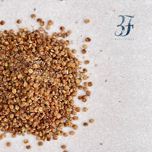 دان سماق قهوه ای 2 دان سماق قهوه ای بازرگانی براتی