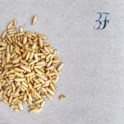 مغز تخمه چلغوزه بازرگانی براتی